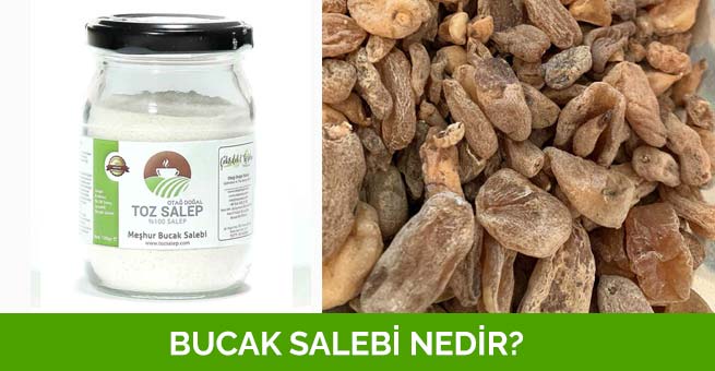 Bucak Salebi Nedir?