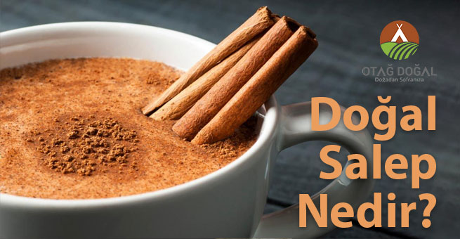 Doğal Salep Nedir?