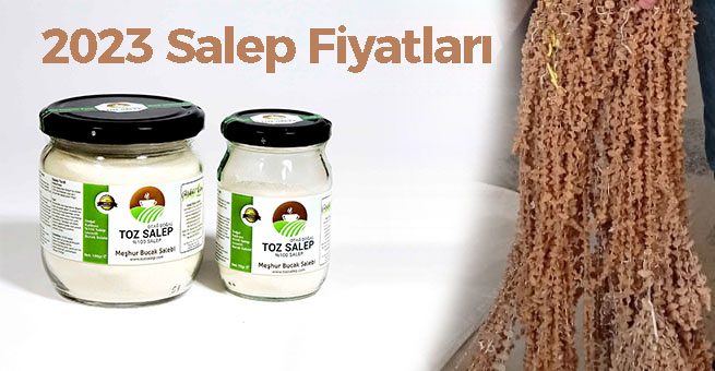 Salep Fiyatları 2023